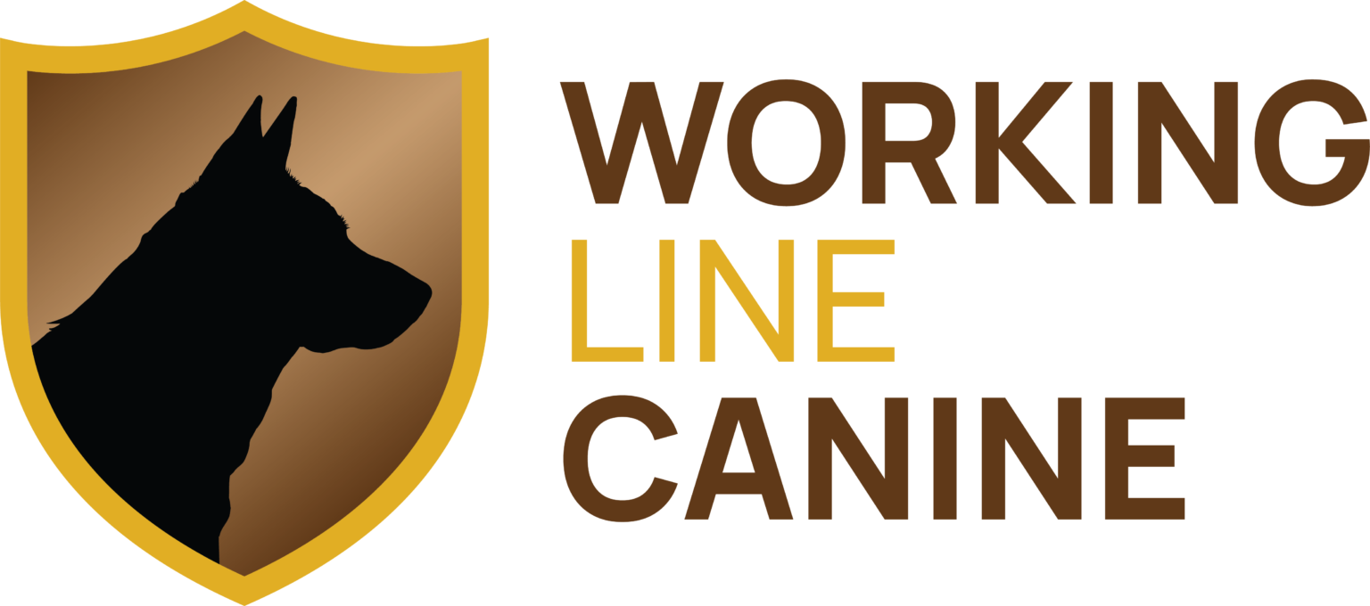 Working Line Canine - German Shepherd Breeder